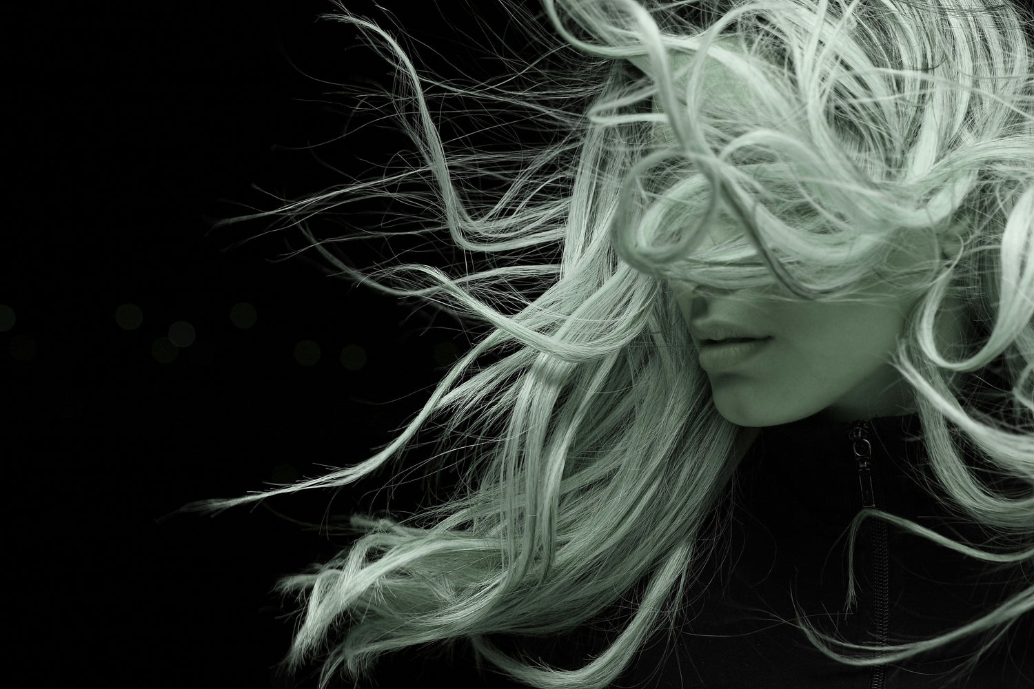 NEW BLONDE COLECTION